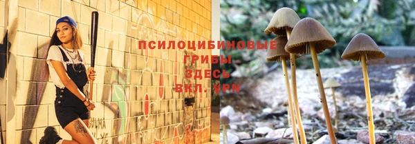 таблы Горнозаводск