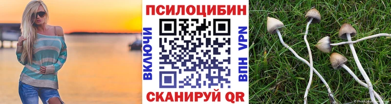 Галлюциногенные грибы прущие грибы  наркота  Димитровград 